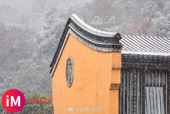 禅意摄影:杭州佛学院初雪(新浪佛学)-1.jpg