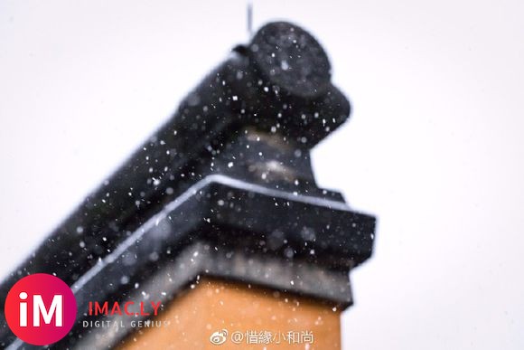 禅意摄影:杭州佛学院初雪(新浪佛学)-2.jpg