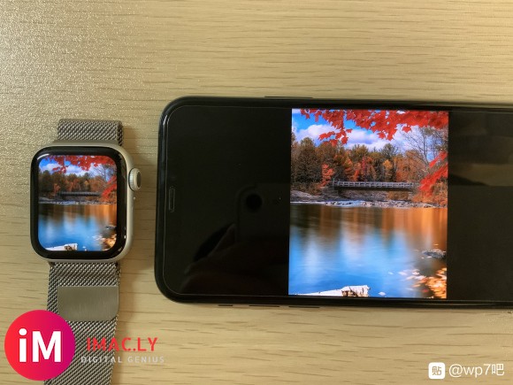 Apple Watch Series5与iPhone 11P-5.jpg