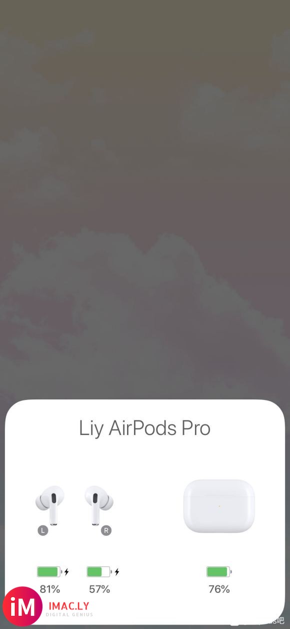 今天拼多多刚到的Air pods Pro 两个耳机同时放进充-1.jpg