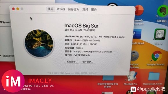 big sur beta5启动pd16后直接崩溃关机!!!-4.jpg