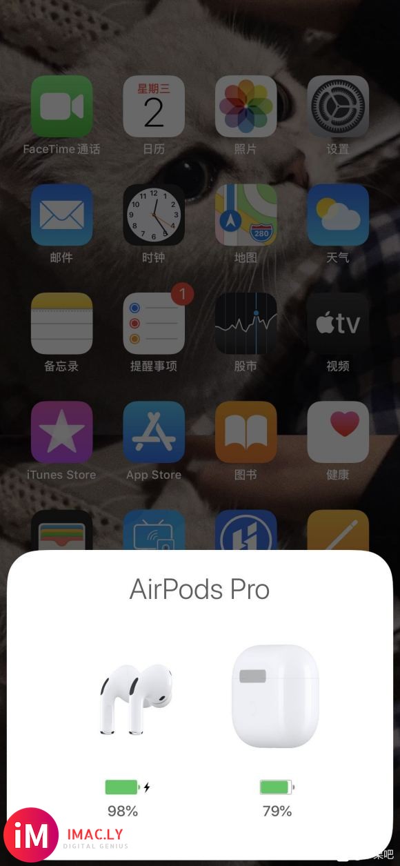 兄弟们,我的airpods pro1999入,三码一致,官网-1.jpg