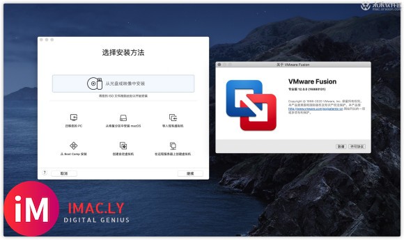 VMware Fusion Pro 12 Mac(vmware虚拟机)支持11.0 Big Sur-2.jpg