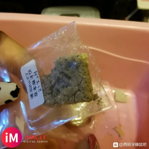 睡鼠越狱了!一共养了两只睡鼠一只女的叫小乖养了一年多了 后来-2.jpg