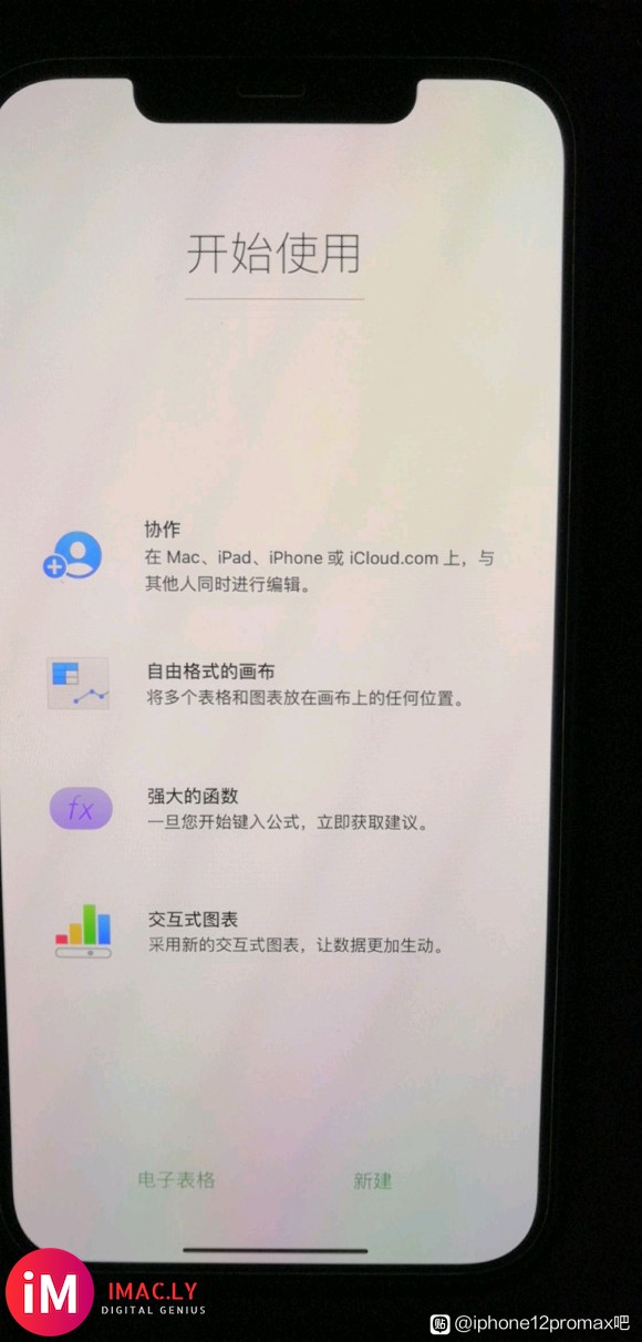 入手iphone12promax绿屏,翻车了吗,系统14.2-1.jpg