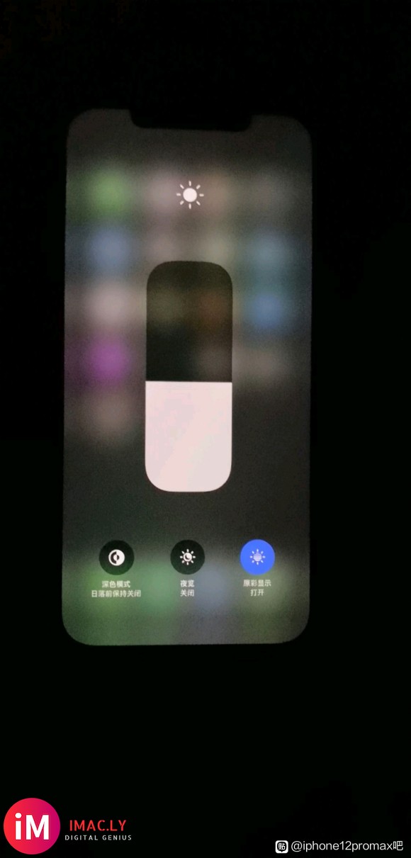 入手iphone12promax绿屏,翻车了吗,系统14.2-1.jpg