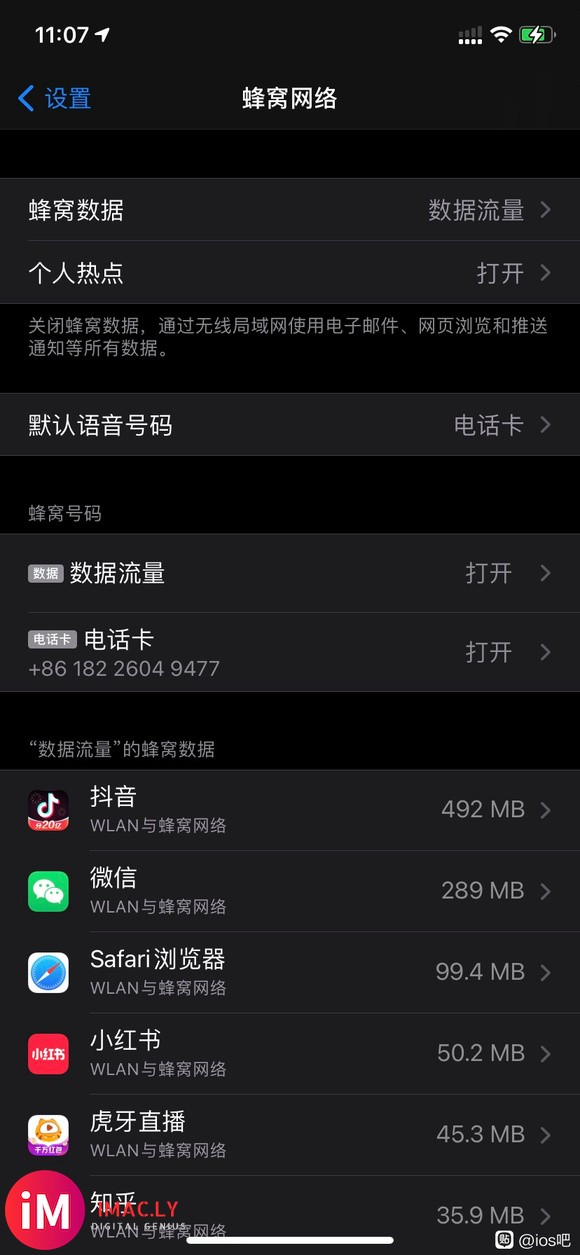 大佬们快进来看看吧ios14.5apn-1.jpg