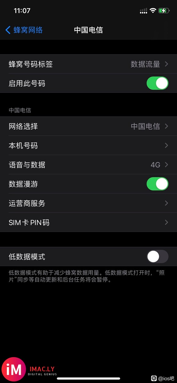 大佬们快进来看看吧ios14.5apn-2.jpg