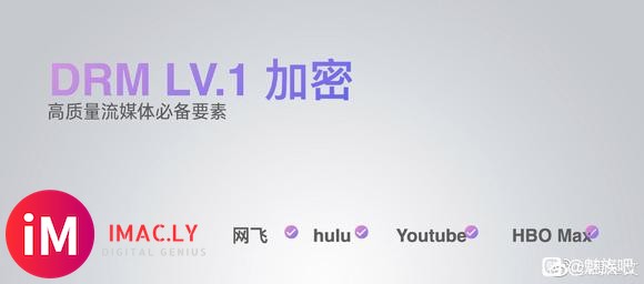 为了Netflix的L1播放规格而来买18的,可以直接选择散-2.jpg