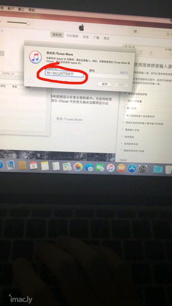 MacBook乱码了咋整啊-1.jpg