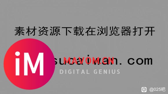 30款复古欧州文艺复兴经典魅力纹理形状线条艺术婚礼短片标题预设-2.jpg