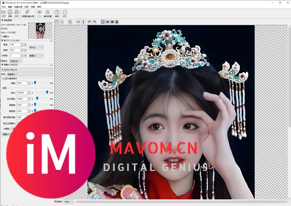 图像放大的艺术新境界PhotoZoom Pro 9.0.4中文特别版-4.jpg