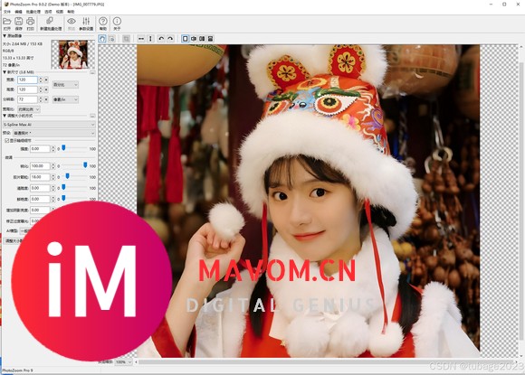 PhotoZoom Pro 9.0.4中文特别版：图像放大的艺术新境界-4.jpg