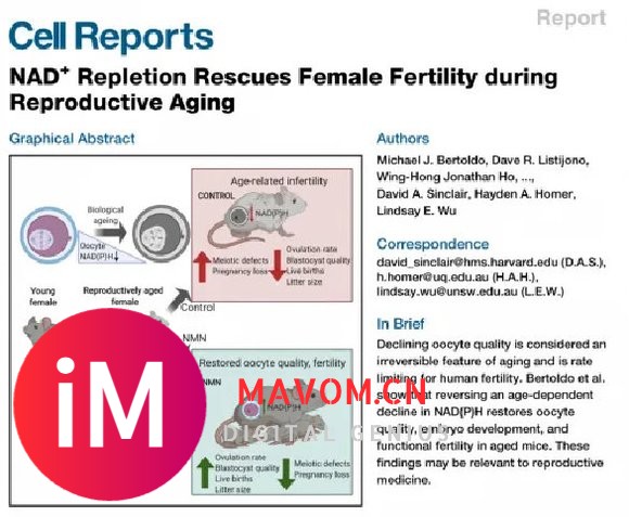 PssoppC9NMN：重燃职场活力，科学应对职业倦怠！-4.jpg