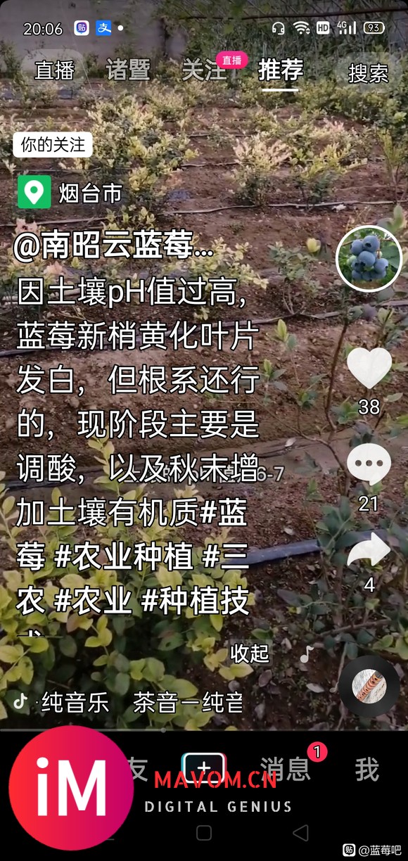 小僵大僵换盆后的休眠-1.jpg