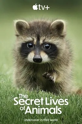 动物的秘密生活 The Secret Lives of Animals (2024)-1.jpg