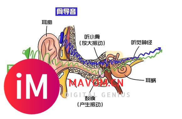 2025年跑步耳机怎么选？五款热门跑步耳机独家测评推荐！-5.jpg