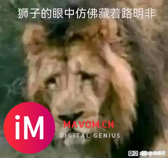 浅喷一下新战备在西线的表现。-6.jpg